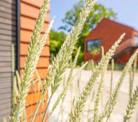 De Ole School Ferienapartments Medium-apartment 21 , Huus Walden